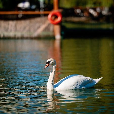 Montana Garden Hotel Răşinari Eksteriør billede